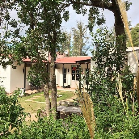 Hostel Punta Ballena Bar بونتا دل استي المظهر الخارجي الصورة