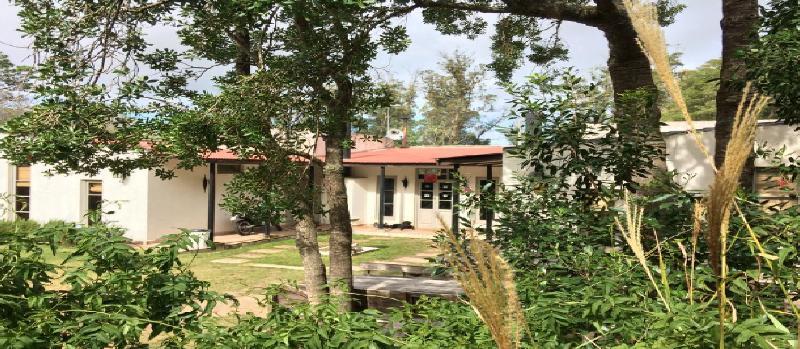 Hostel Punta Ballena Bar بونتا دل استي المظهر الخارجي الصورة