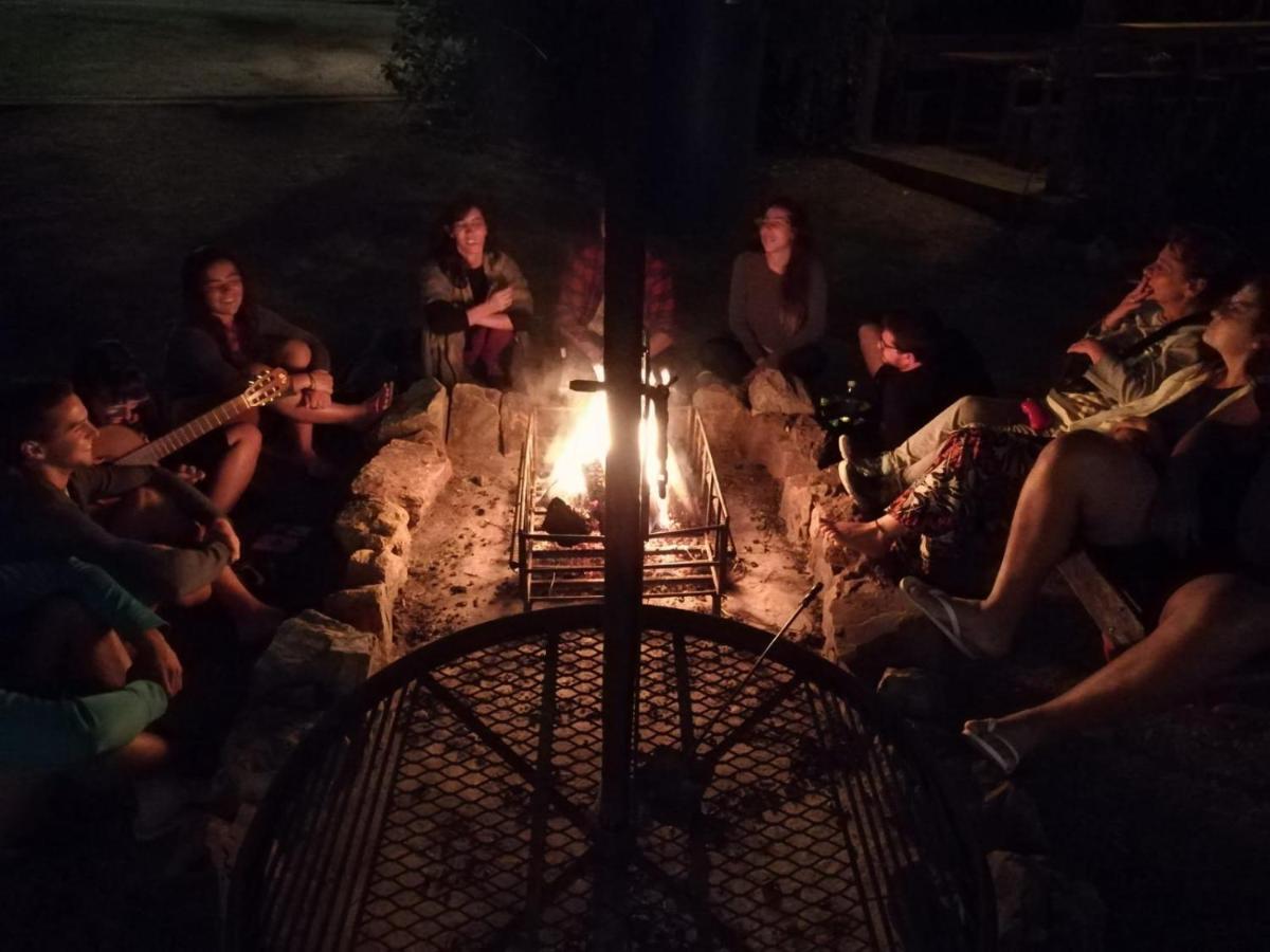 Hostel Punta Ballena Bar بونتا دل استي المظهر الخارجي الصورة